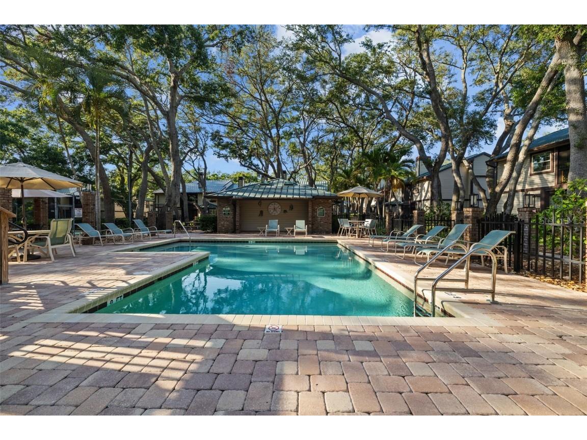 2665 Sequoia Terrace #306 Palm Harbor FL 34683 TB8387302 image29