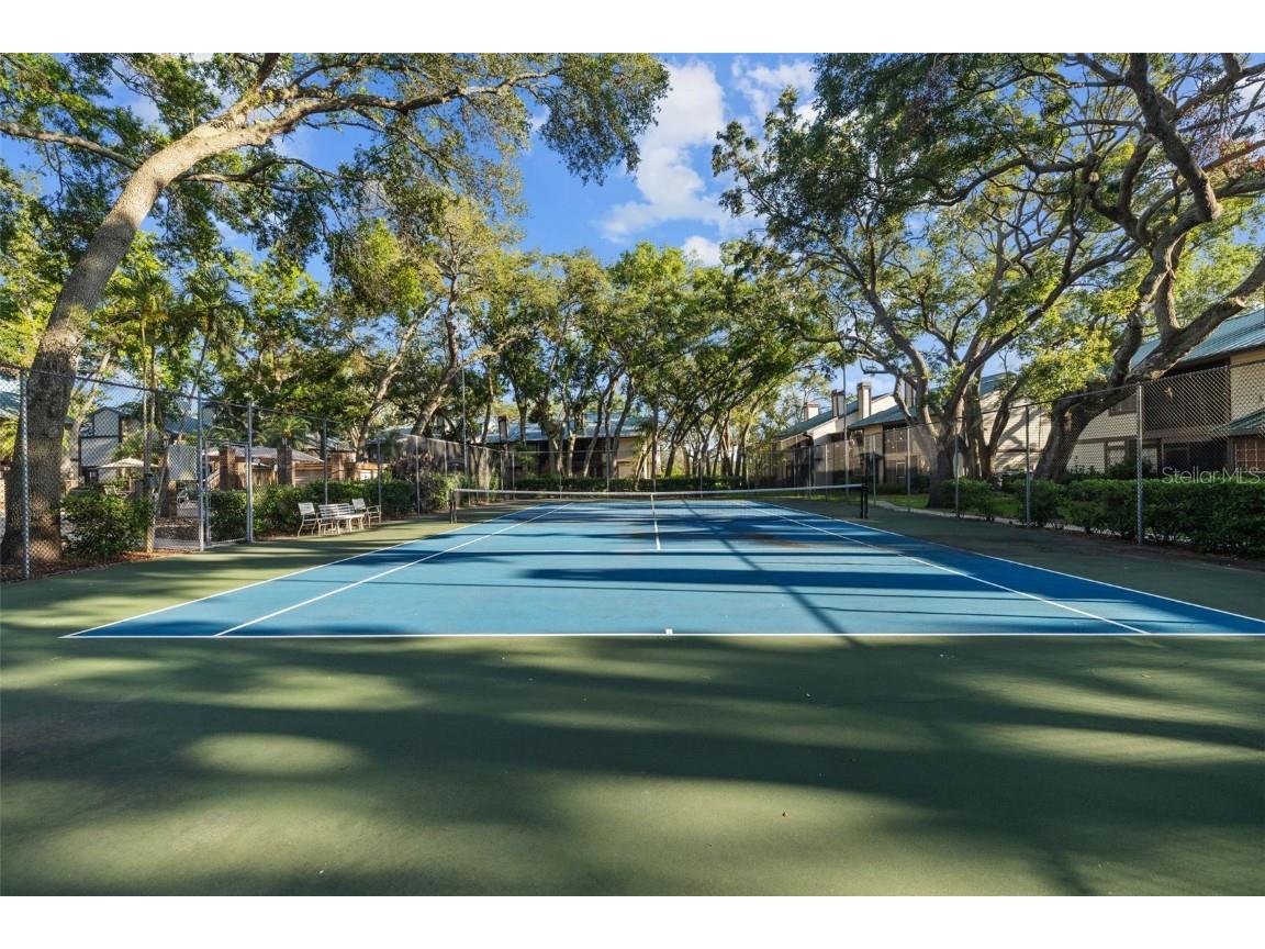 2665 Sequoia Terrace #306 Palm Harbor FL 34683 TB8387302 image30