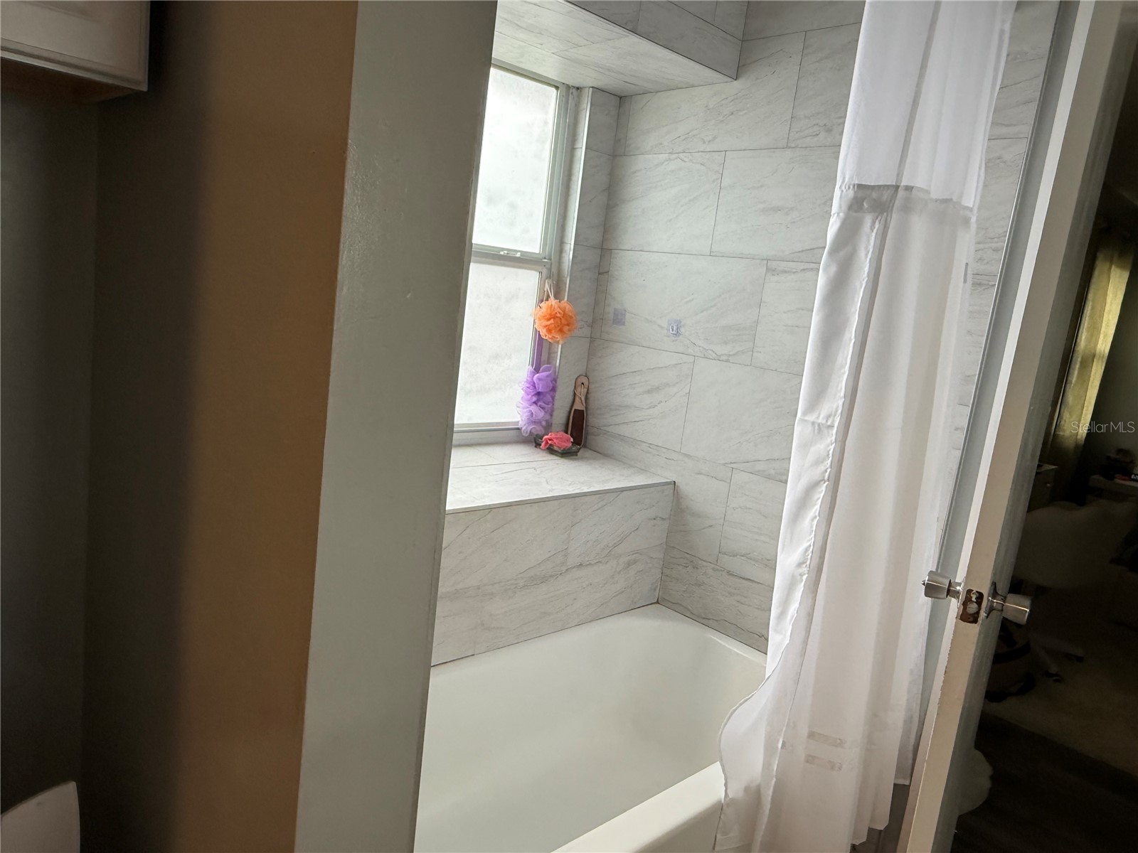 2665 Staley Court Orlando FL 32818 O6423301 image3
