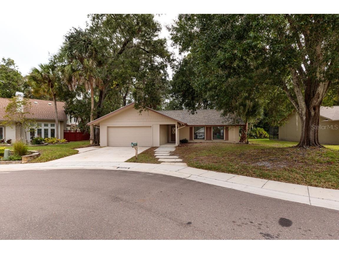 2665 Woodhall Terrace Palm Harbor FL 34685 U8222455 image1