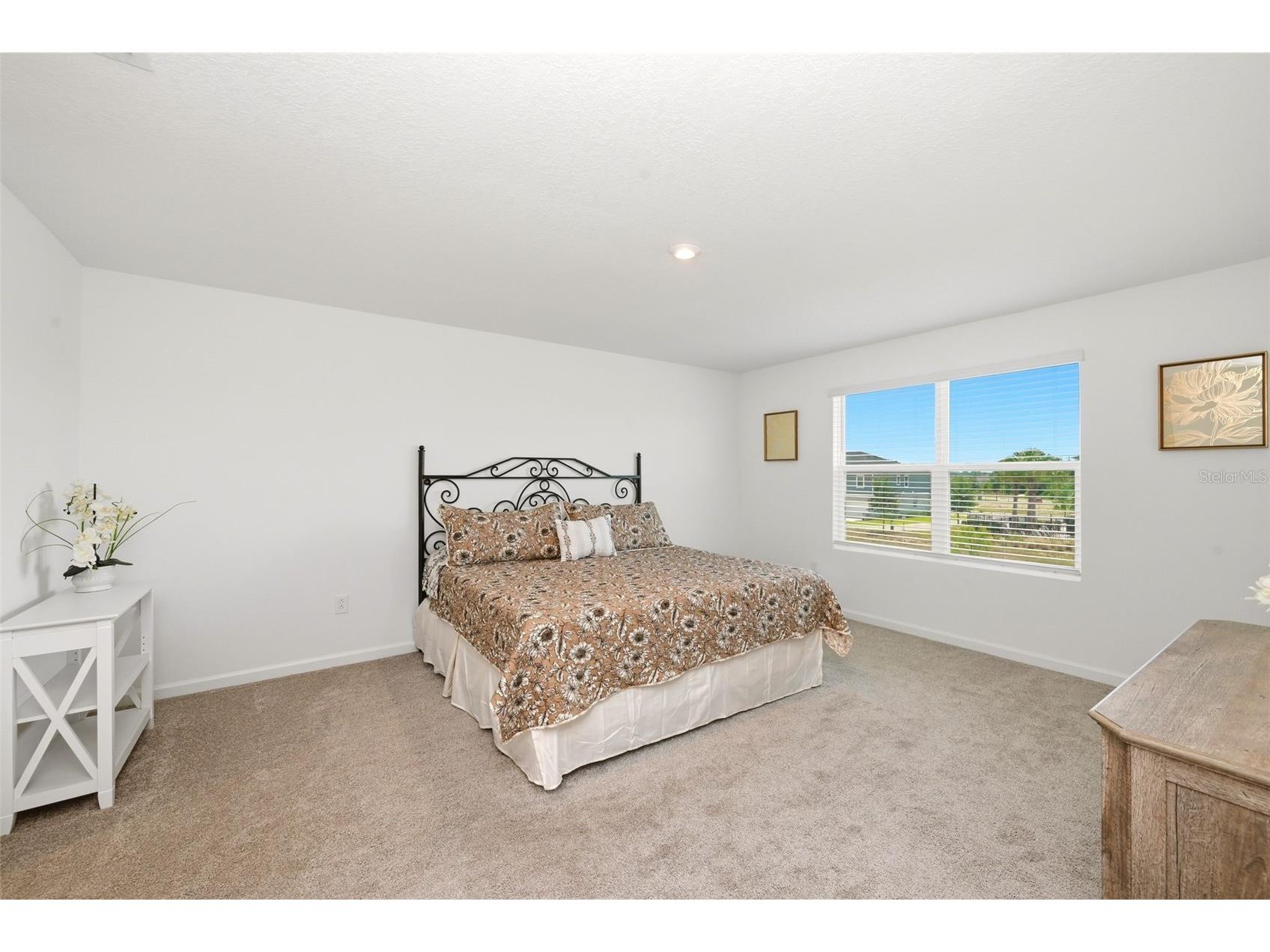 2666 Ginseng Ivy Street Apopka FL 32703 O6411301 image37