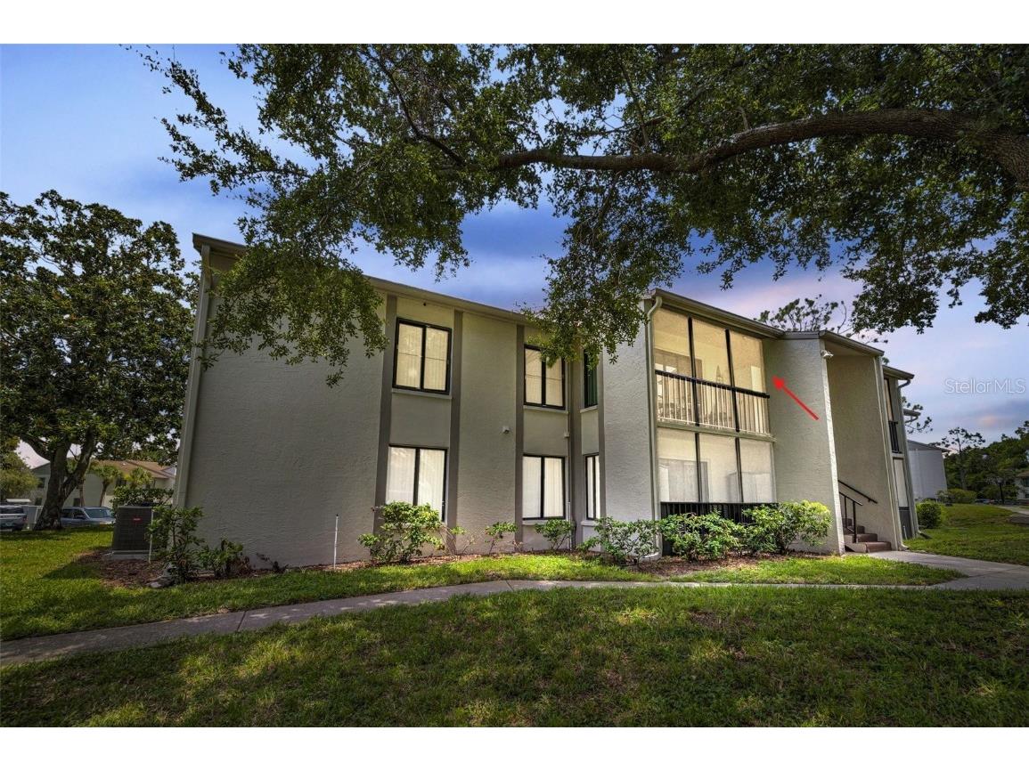 2666 Pine Ridge Way N #C2 Palm Harbor FL 34684 TB8418562 image1