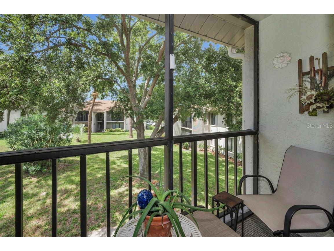 2666 Pine Ridge Way N #C2 Palm Harbor FL 34684 TB8418562 image13