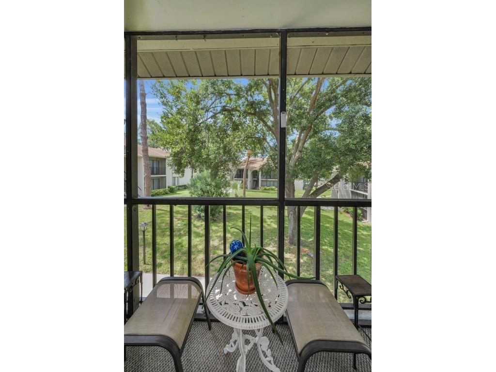 2666 Pine Ridge Way N #C2 Palm Harbor FL 34684 TB8418562 image14