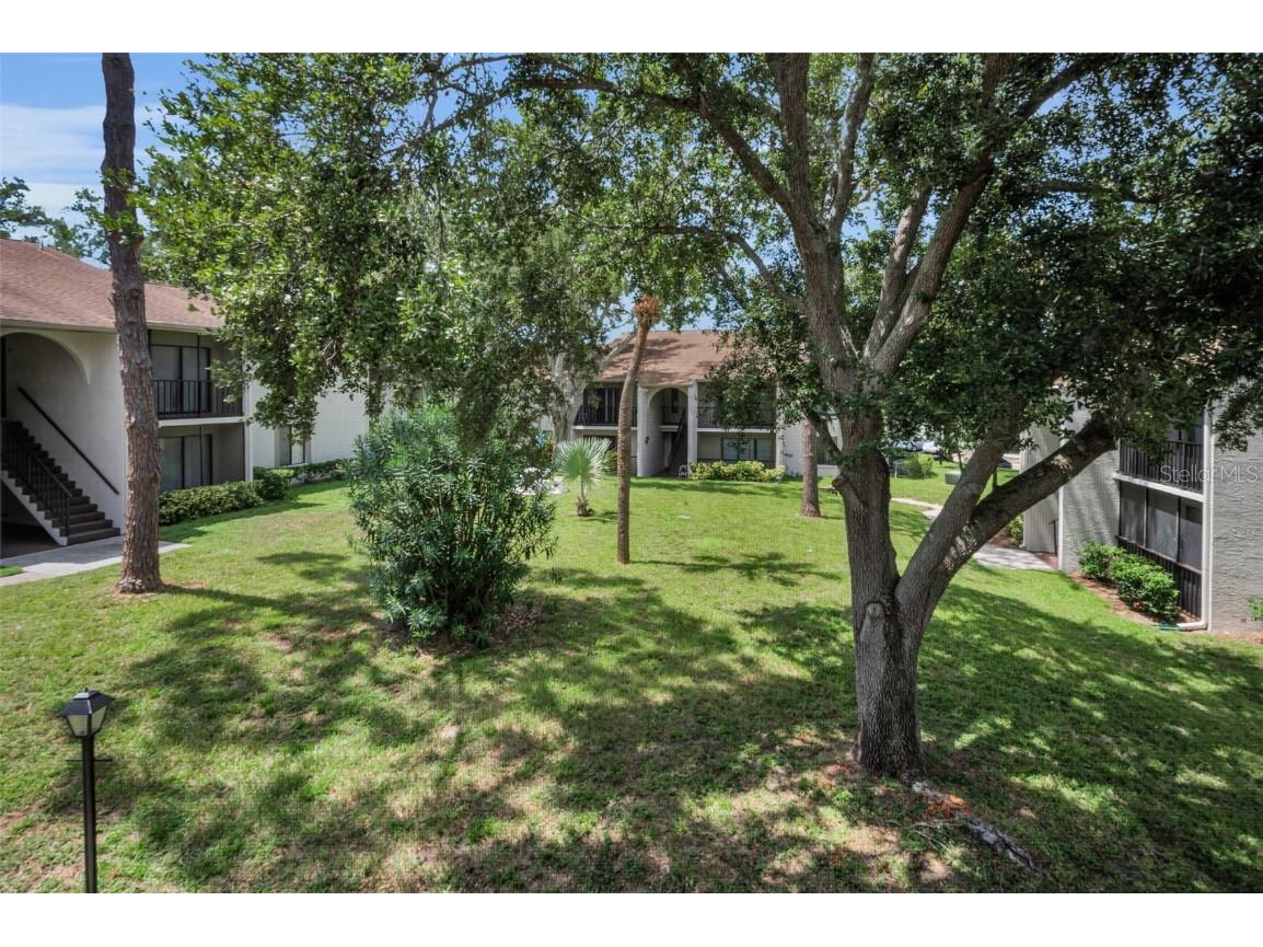 2666 Pine Ridge Way N #C2 Palm Harbor FL 34684 TB8418562 image15