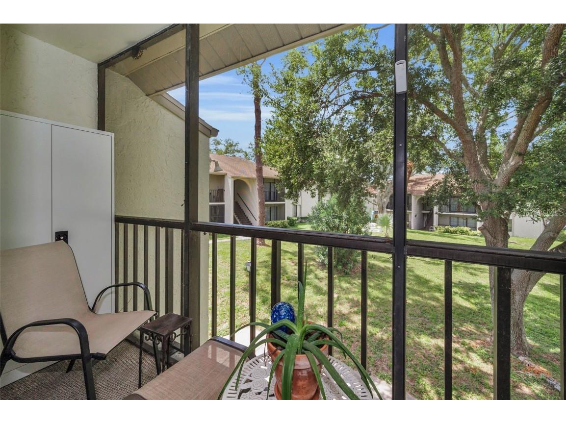 2666 Pine Ridge Way N #C2 Palm Harbor FL 34684 TB8418562 image16