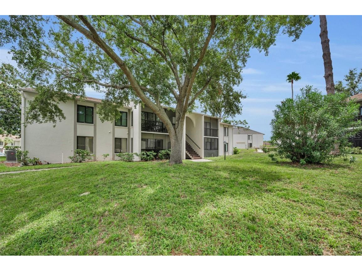 2666 Pine Ridge Way N #C2 Palm Harbor FL 34684 TB8418562 image2