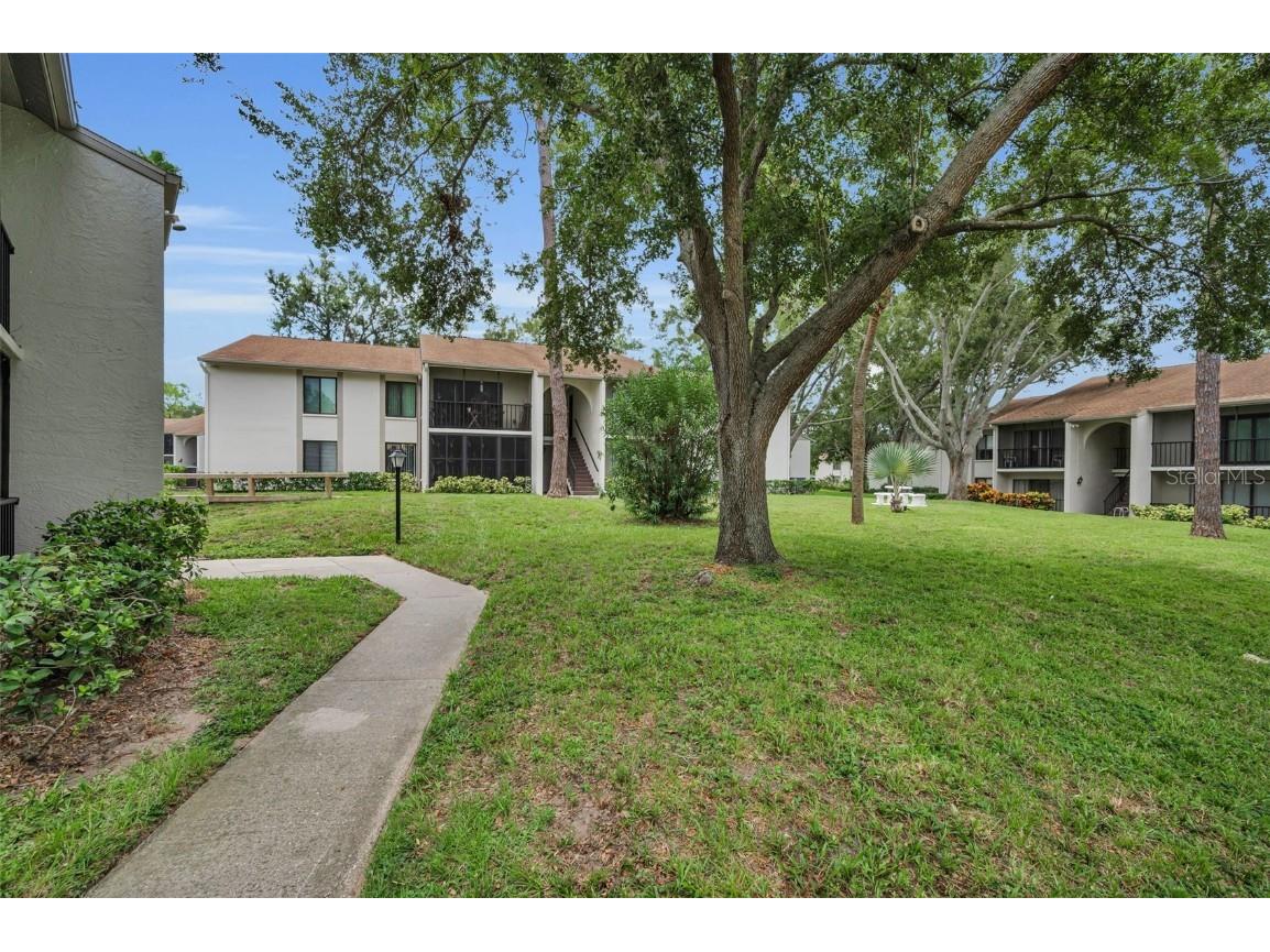 2666 Pine Ridge Way N #C2 Palm Harbor FL 34684 TB8418562 image3