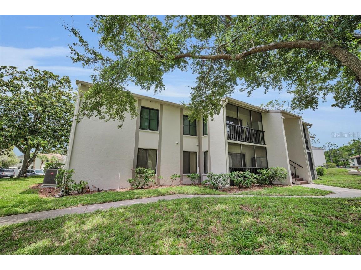 2666 Pine Ridge Way N #C2 Palm Harbor FL 34684 TB8418562 image4