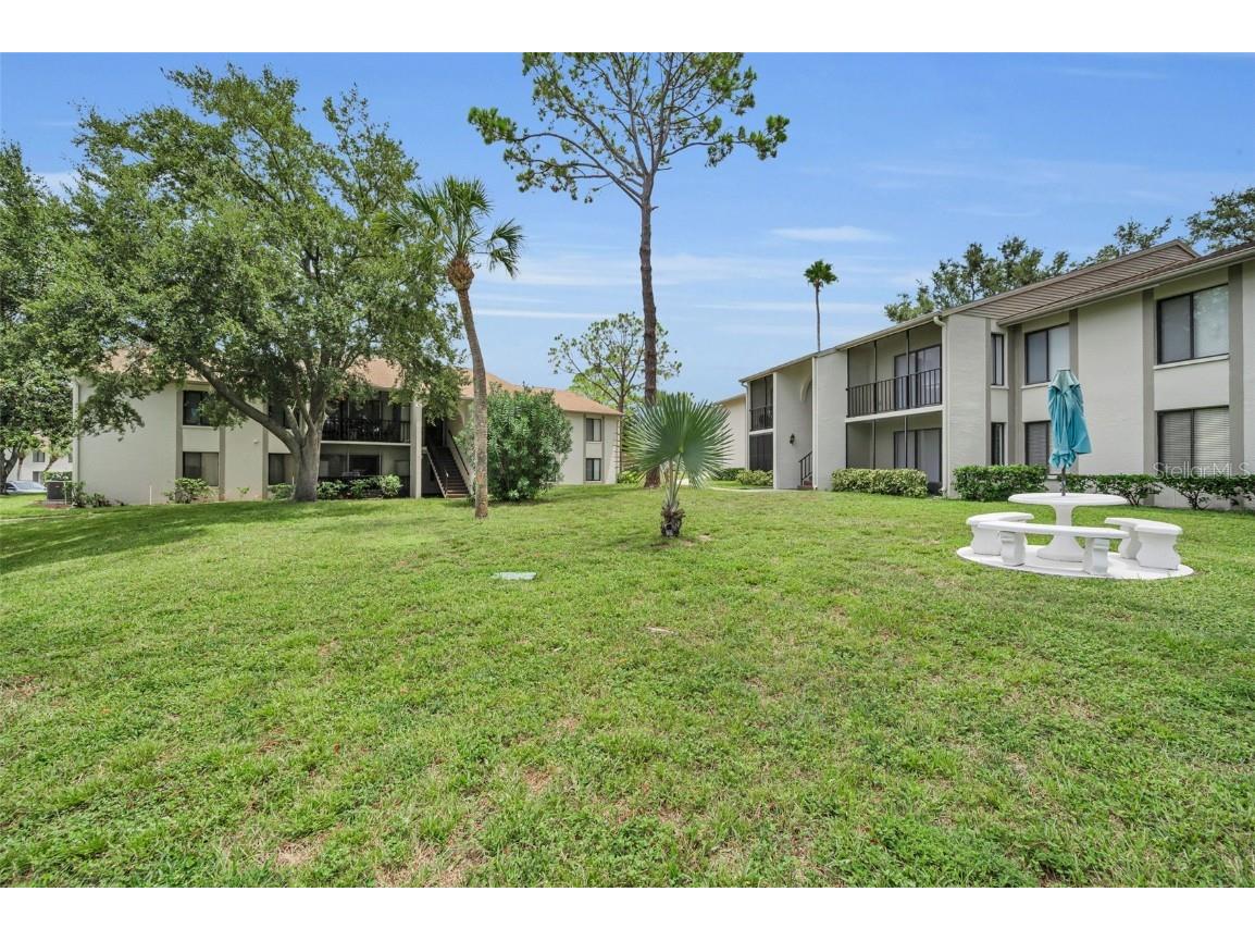 2666 Pine Ridge Way N #C2 Palm Harbor FL 34684 TB8418562 image5