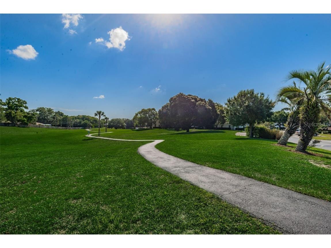 2666 Pine Ridge Way N #C2 Palm Harbor FL 34684 TB8418562 image56