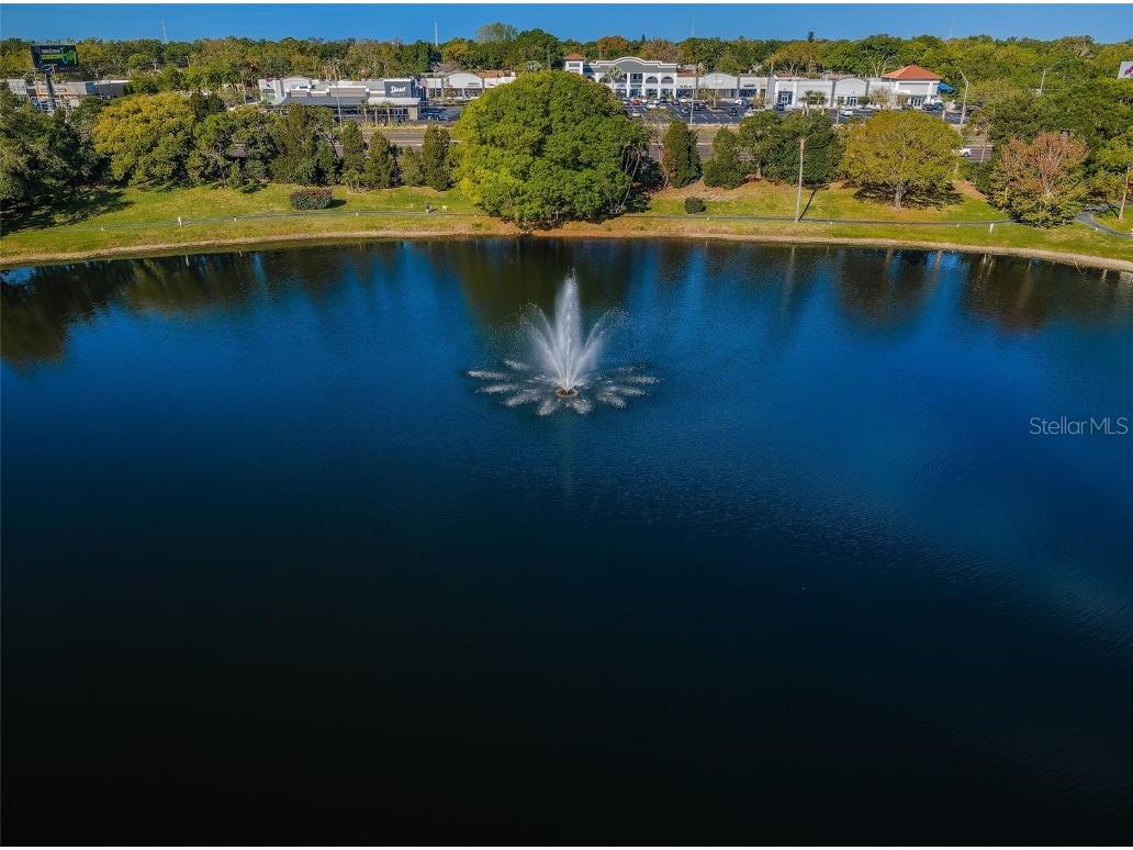 2666 Pine Ridge Way N #C2 Palm Harbor FL 34684 TB8418562 image60