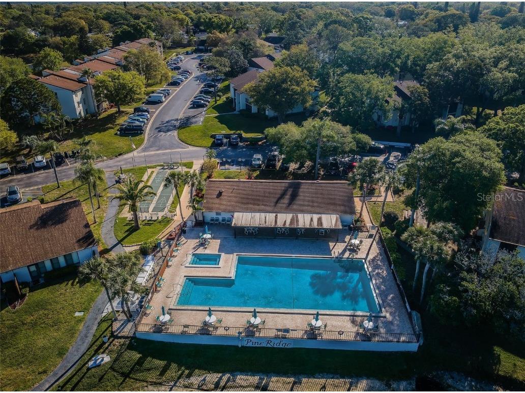 2666 Pine Ridge Way N #C2 Palm Harbor FL 34684 TB8418562 image62