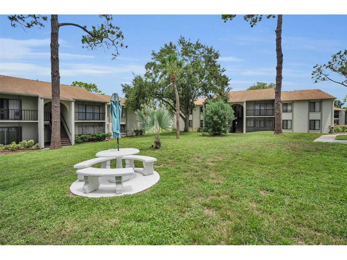 2666 Pine Ridge Way N #C2 Palm Harbor FL 34684 TB8418562 image7