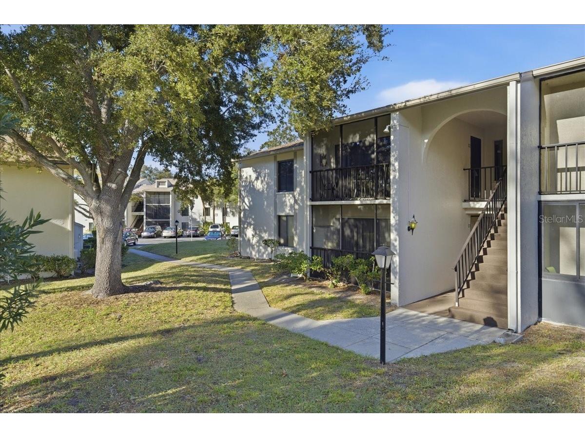 2666 Pine Ridge Way N #C2 Palm Harbor FL 34684 TB8469755 image1
