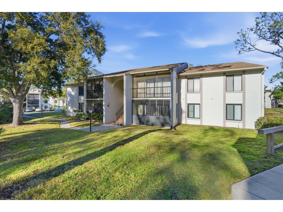 2666 Pine Ridge Way N #C2 Palm Harbor FL 34684 TB8469755 image2