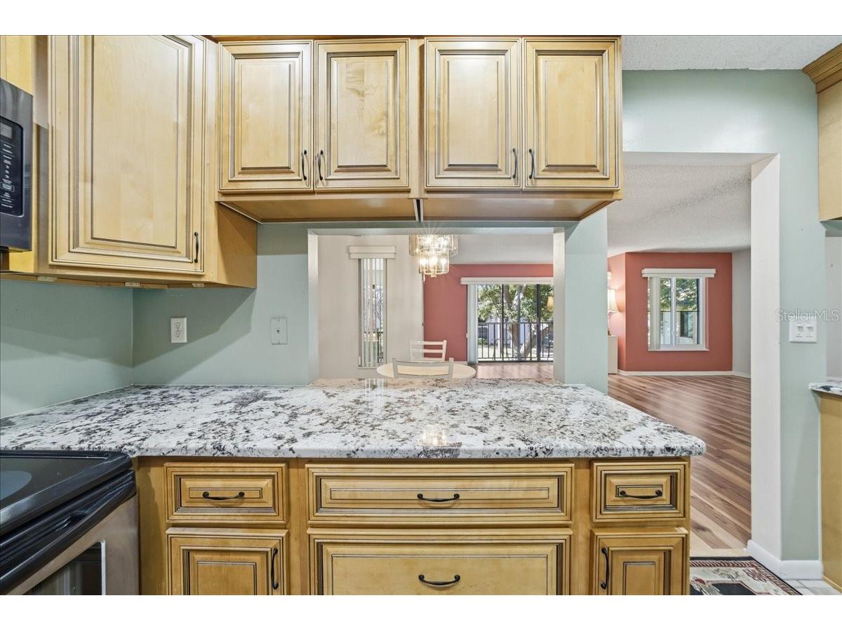 2666 Pine Ridge Way N #C2 Palm Harbor FL 34684 TB8469755 image28