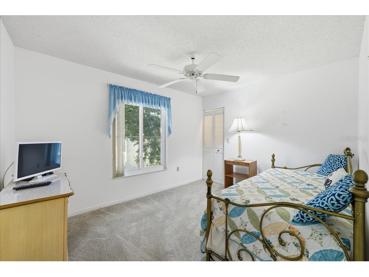 2666 Pine Ridge Way N #C2 Palm Harbor FL 34684 TB8469755 image36