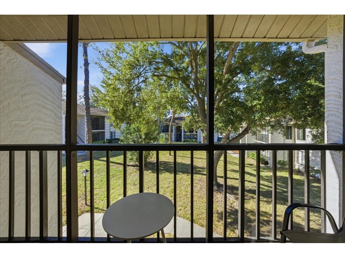 2666 Pine Ridge Way N #C2 Palm Harbor FL 34684 TB8469755 image43