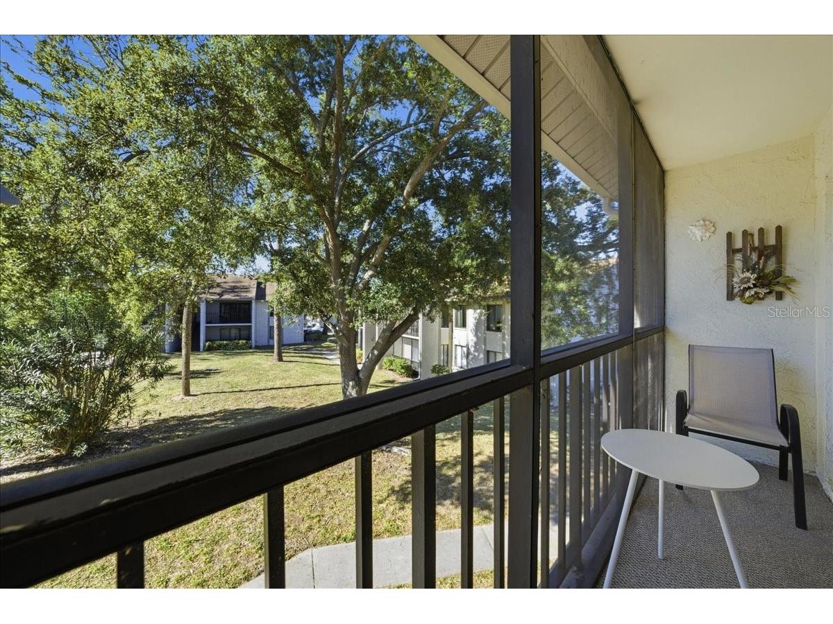 2666 Pine Ridge Way N #C2 Palm Harbor FL 34684 TB8469755 image44