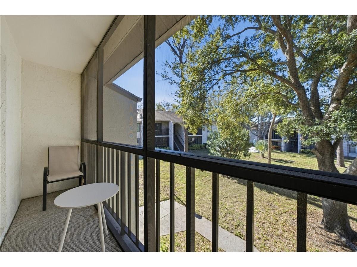 2666 Pine Ridge Way N #C2 Palm Harbor FL 34684 TB8469755 image45