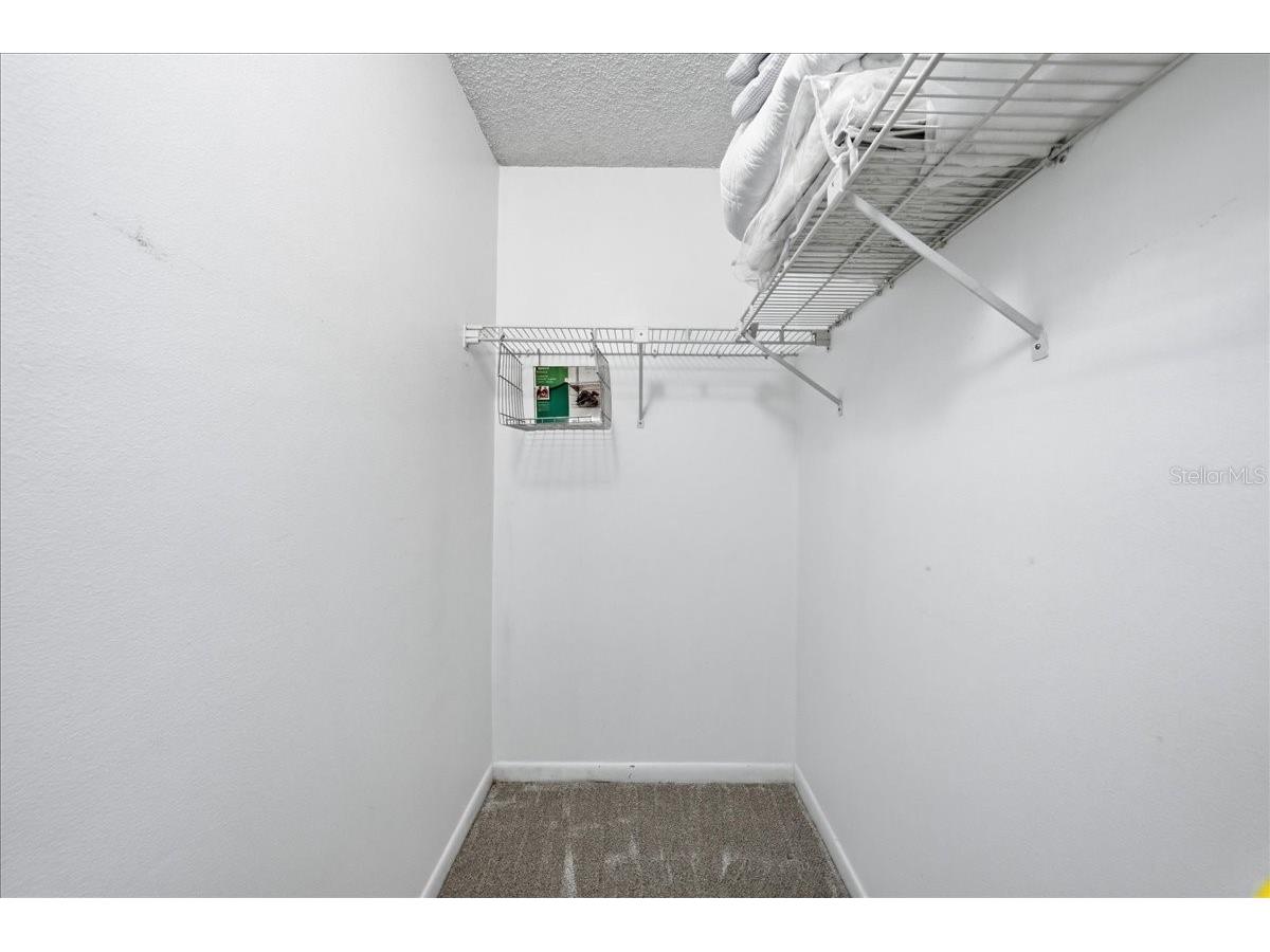 2666 Pine Ridge Way N #C2 Palm Harbor FL 34684 TB8469755 image47