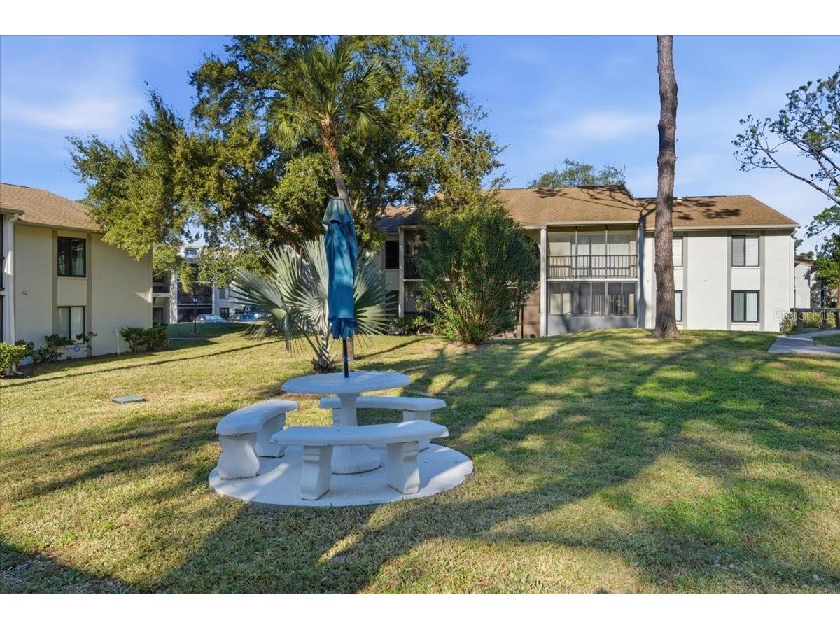 2666 Pine Ridge Way N #C2 Palm Harbor FL 34684 TB8469755 image48