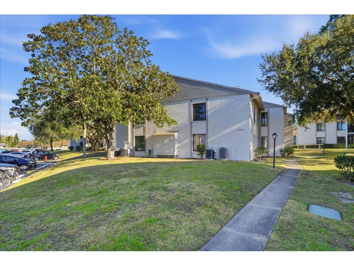2666 Pine Ridge Way N #C2 Palm Harbor FL 34684 TB8469755 image49