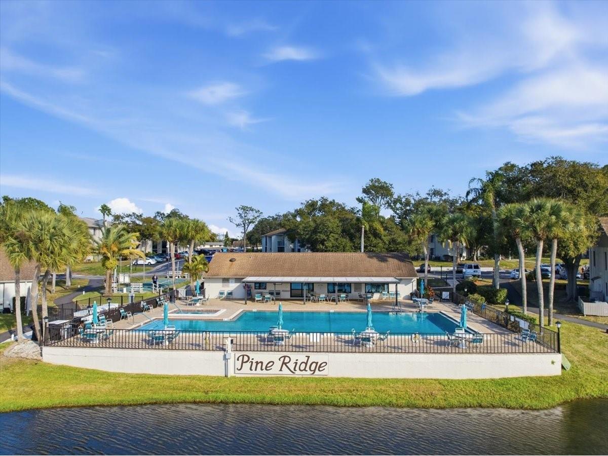 2666 Pine Ridge Way N #C2 Palm Harbor FL 34684 TB8469755 image51