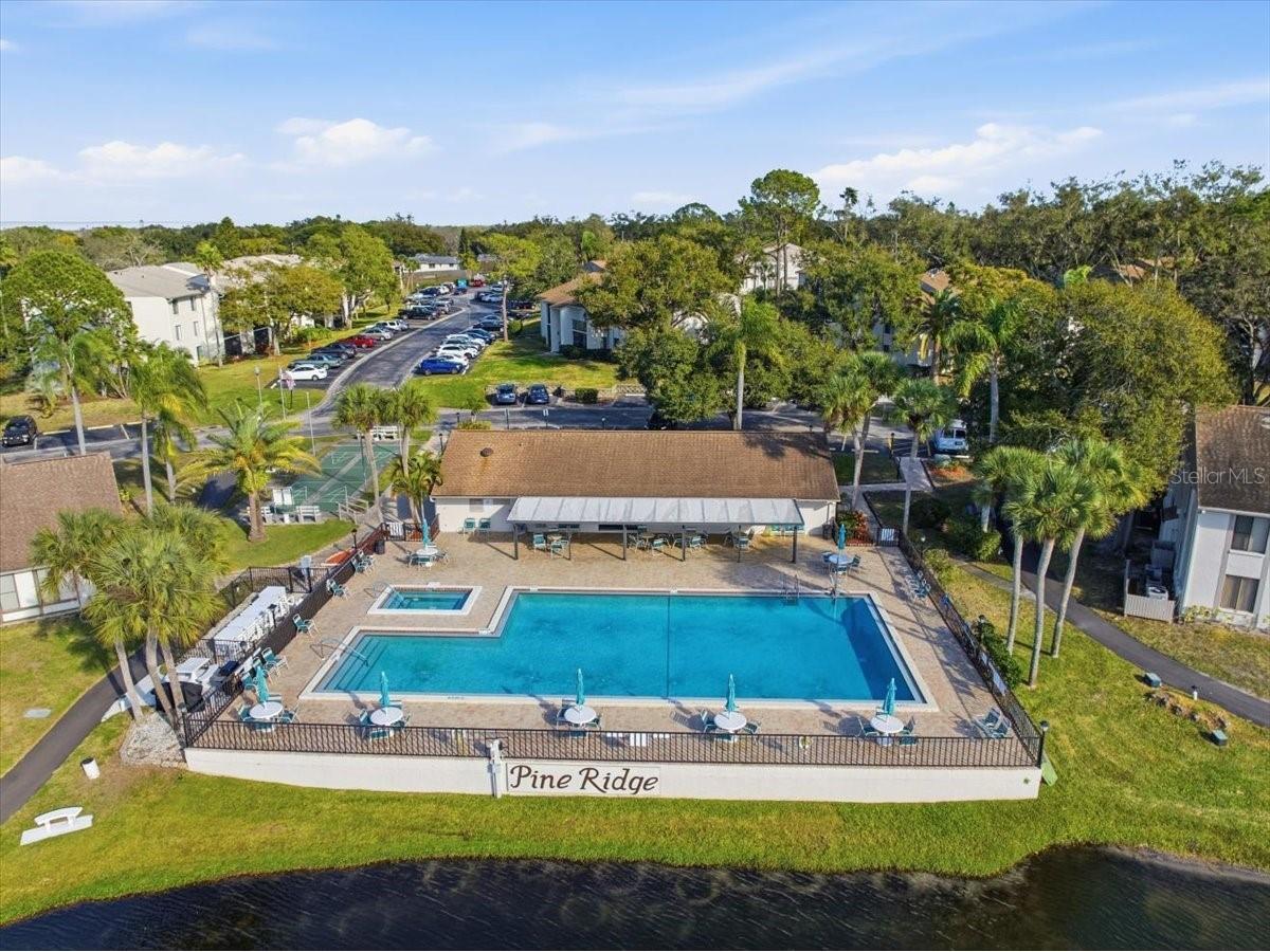 2666 Pine Ridge Way N #C2 Palm Harbor FL 34684 TB8469755 image52