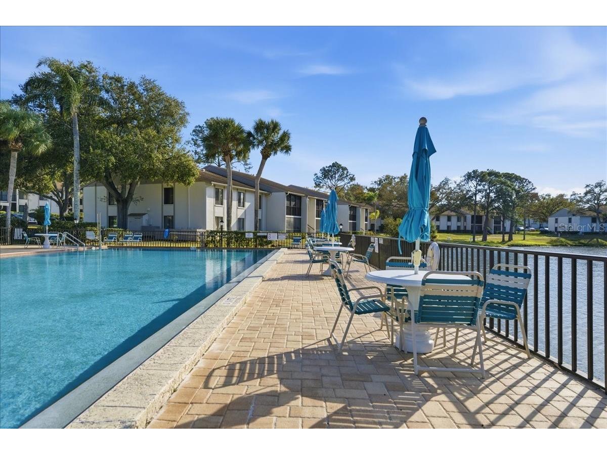 2666 Pine Ridge Way N #C2 Palm Harbor FL 34684 TB8469755 image54