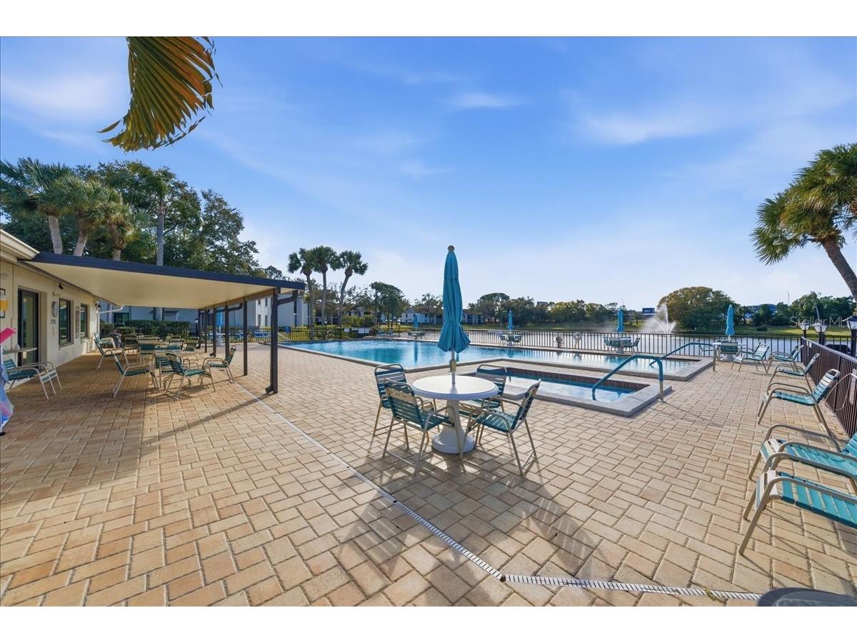 2666 Pine Ridge Way N #C2 Palm Harbor FL 34684 TB8469755 image55