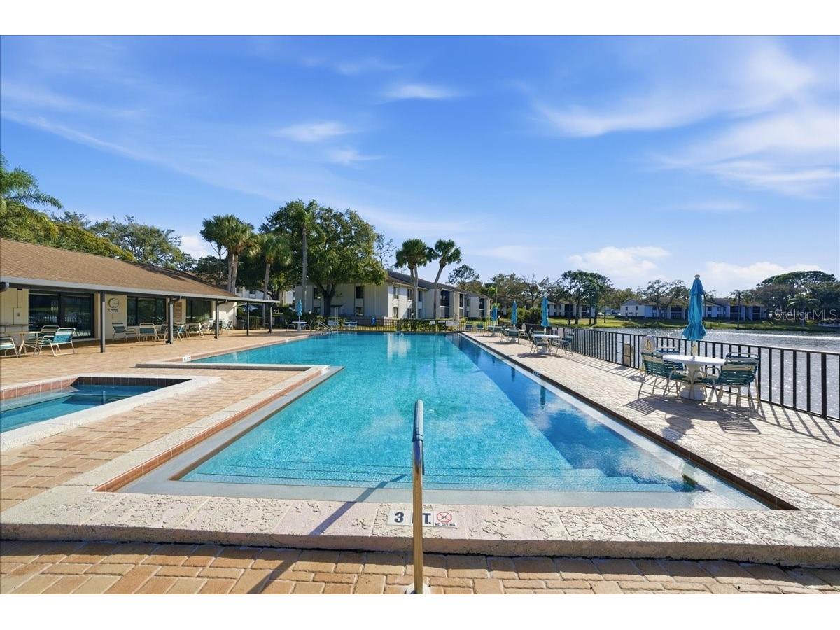 2666 Pine Ridge Way N #C2 Palm Harbor FL 34684 TB8469755 image57