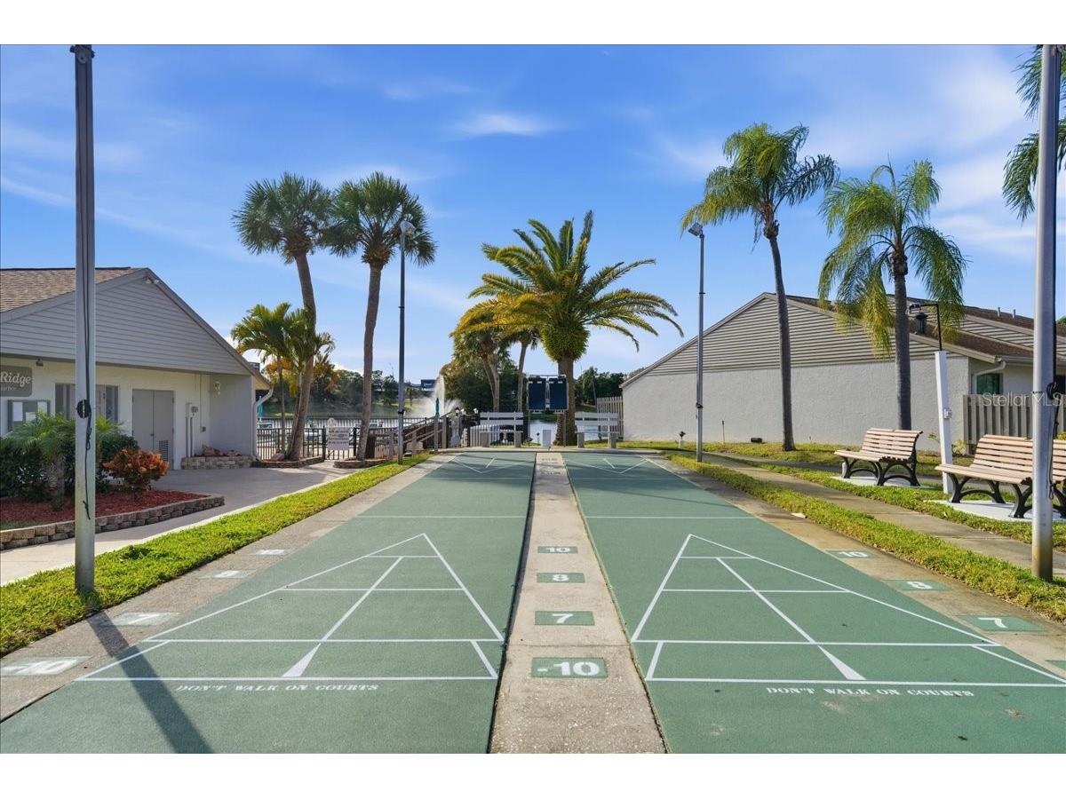 2666 Pine Ridge Way N #C2 Palm Harbor FL 34684 TB8469755 image60