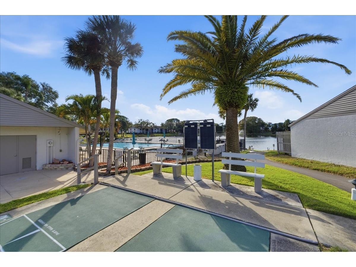 2666 Pine Ridge Way N #C2 Palm Harbor FL 34684 TB8469755 image61