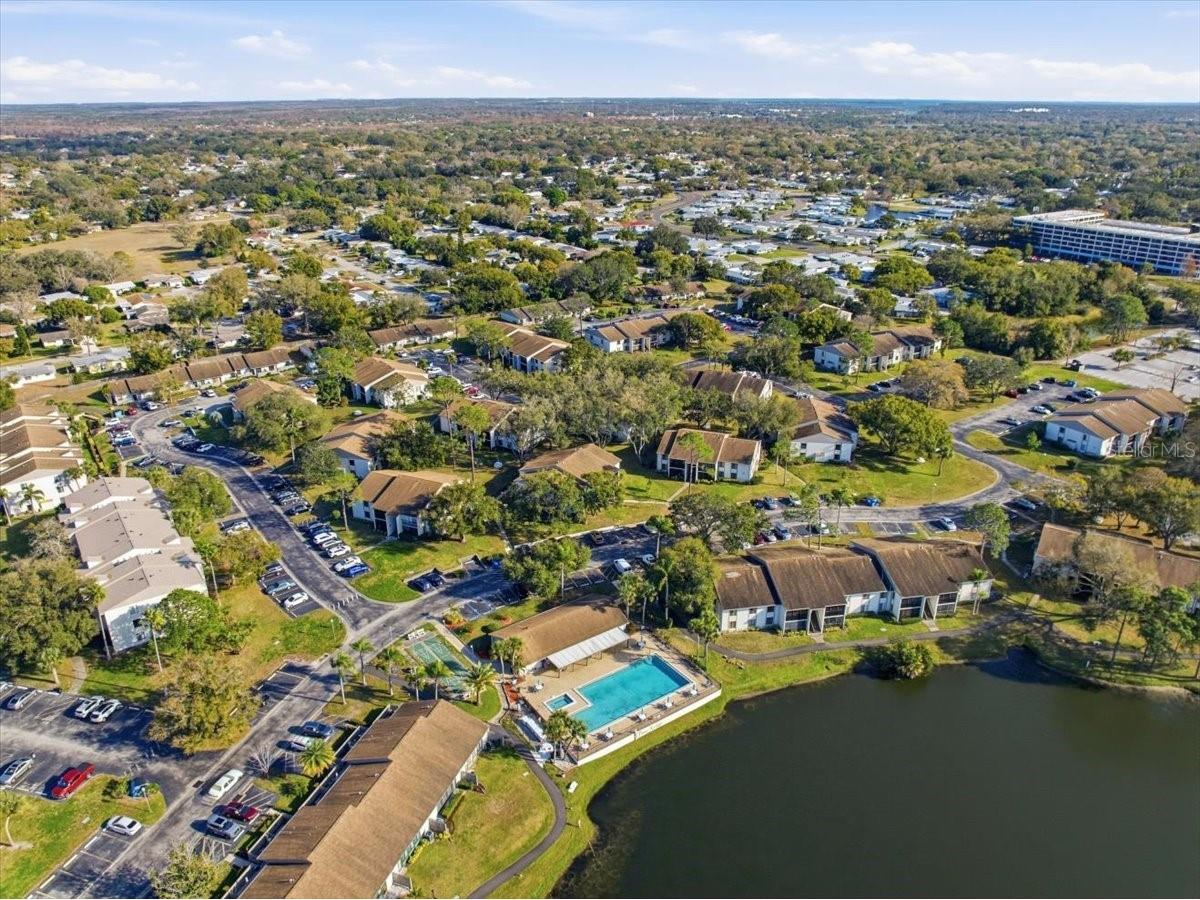 2666 Pine Ridge Way N #C2 Palm Harbor FL 34684 TB8469755 image68