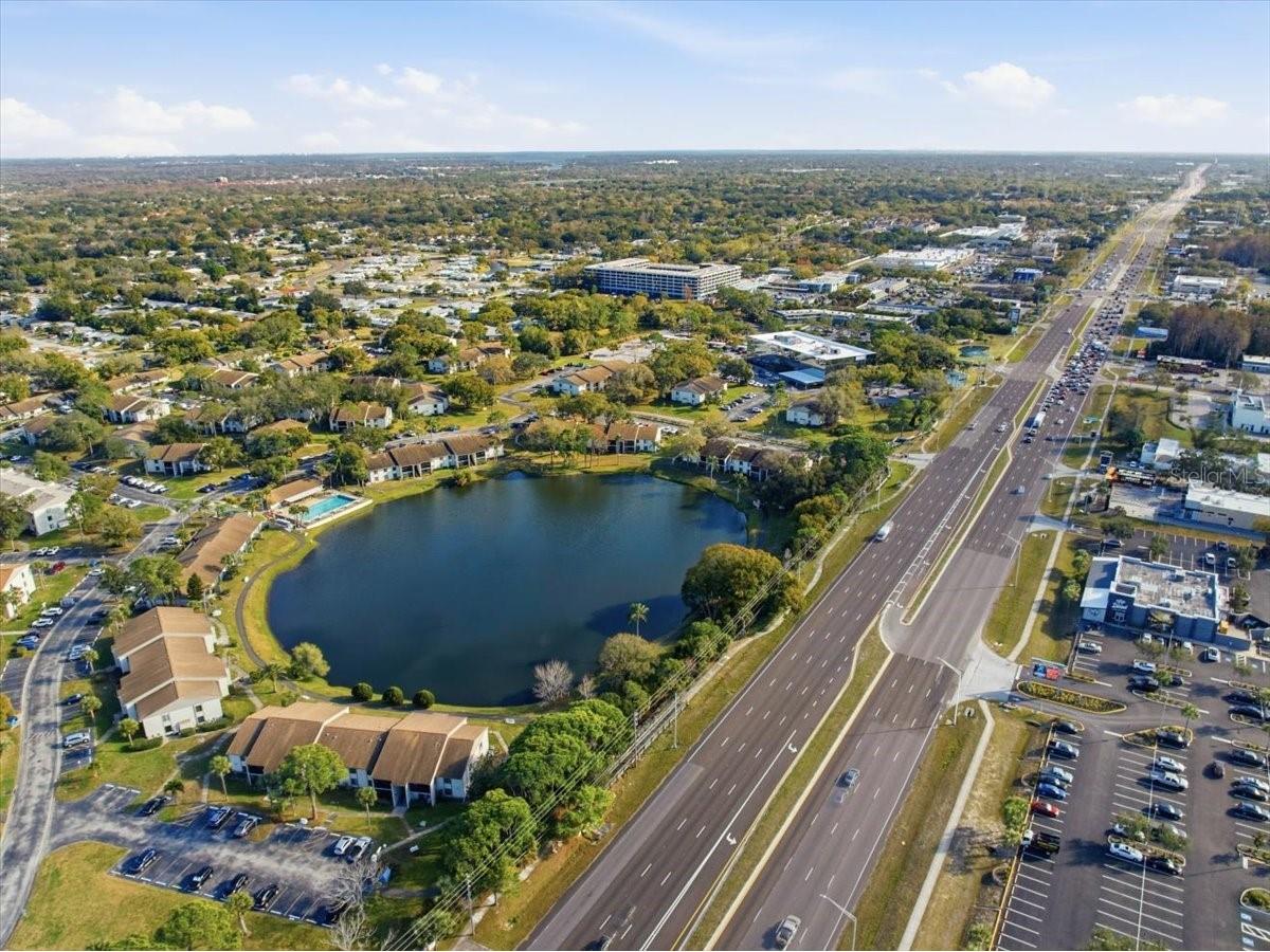 2666 Pine Ridge Way N #C2 Palm Harbor FL 34684 TB8469755 image69