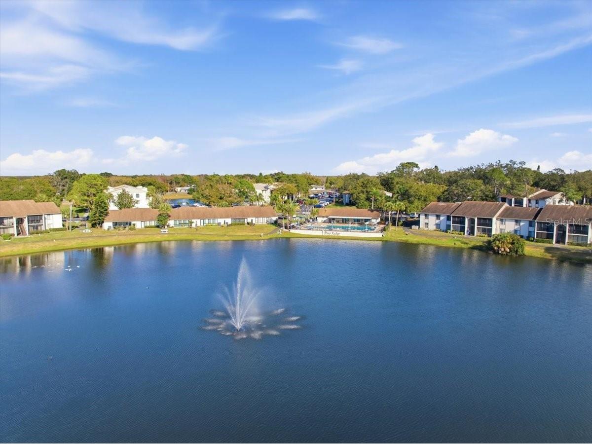 2666 Pine Ridge Way N #C2 Palm Harbor FL 34684 TB8469755 image70
