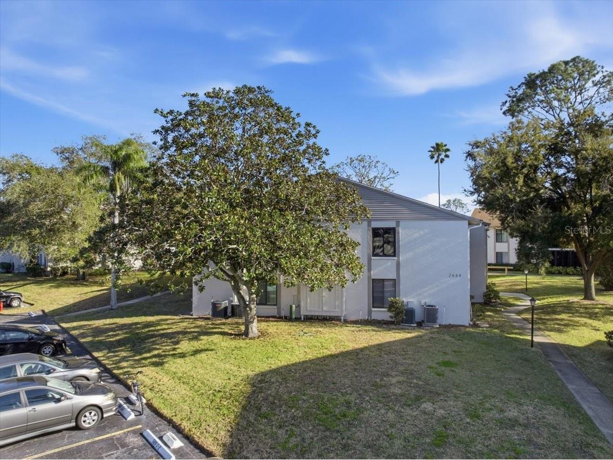 2666 Pine Ridge Way N #C2 Palm Harbor FL 34684 TB8469755 image72