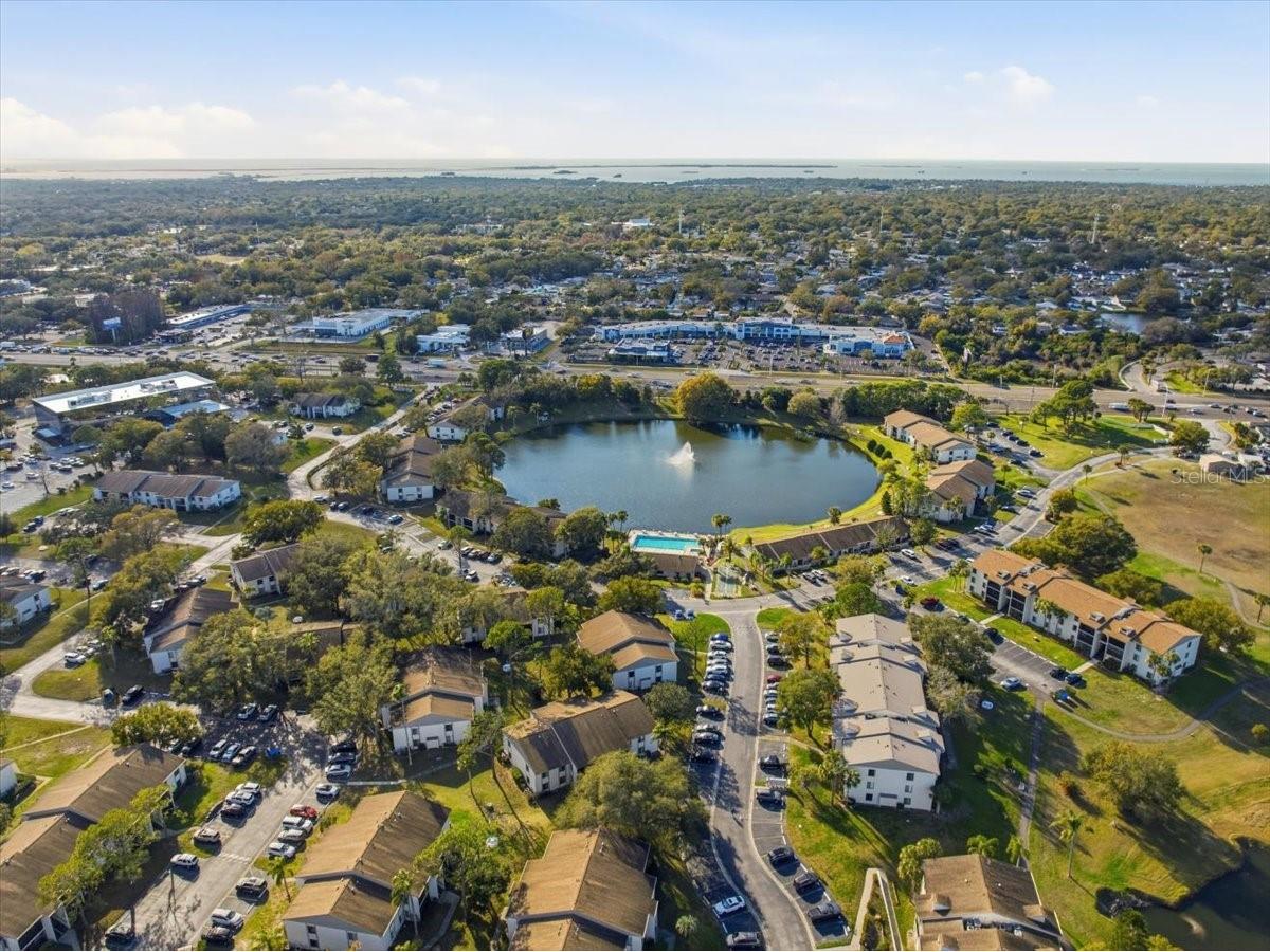 2666 Pine Ridge Way N #C2 Palm Harbor FL 34684 TB8469755 image73