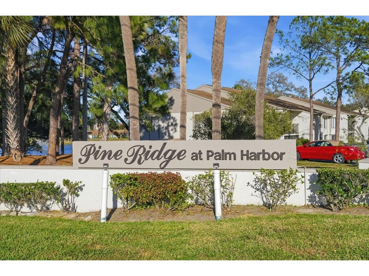 2666 Pine Ridge Way N #C2 Palm Harbor FL 34684 TB8469755 image74