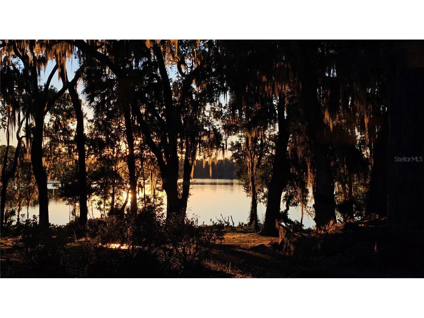 2666 SW 14th Drive #124 Gainesville FL 32608 - LAKE BIVENS OM667539 image1