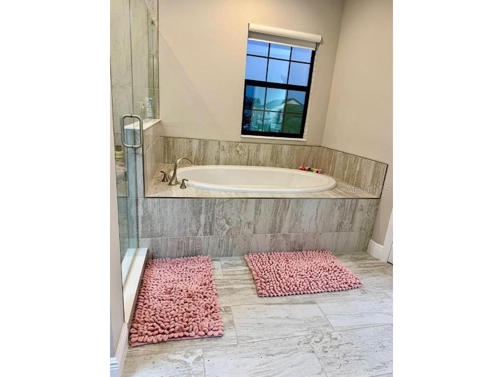 2667 Northwood Park Street Valrico FL 33596 TB8452916 image13