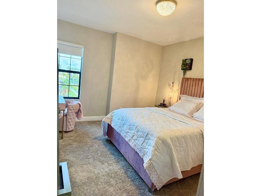 2667 Northwood Park Street Valrico FL 33596 TB8452916 image16