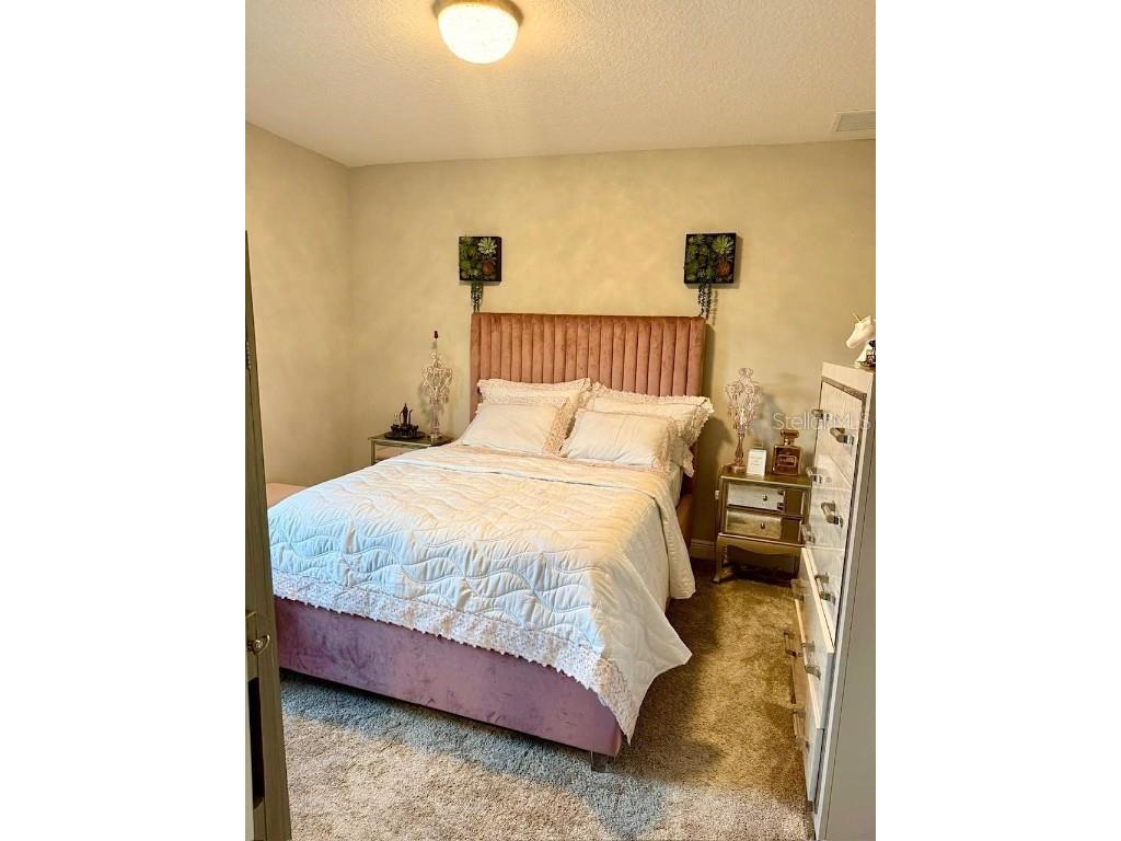 2667 Northwood Park Street Valrico FL 33596 TB8452916 image17