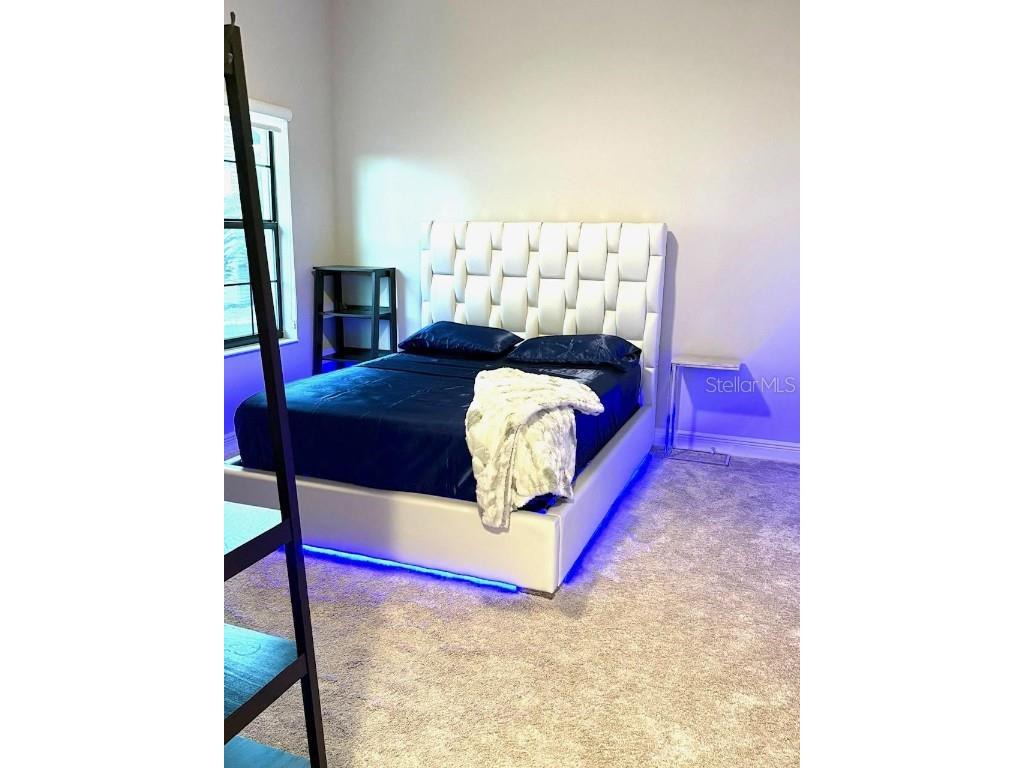 2667 Northwood Park Street Valrico FL 33596 TB8452916 image21