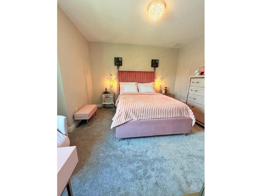 2667 Northwood Park Street Valrico FL 33596 TB8452916 image29