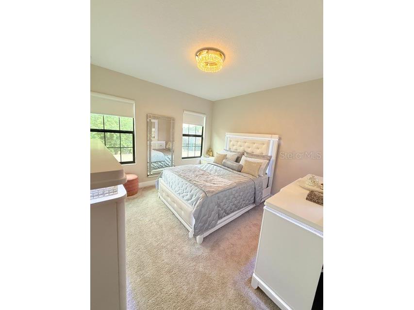 2667 Northwood Park Street Valrico FL 33596 TB8452916 image30