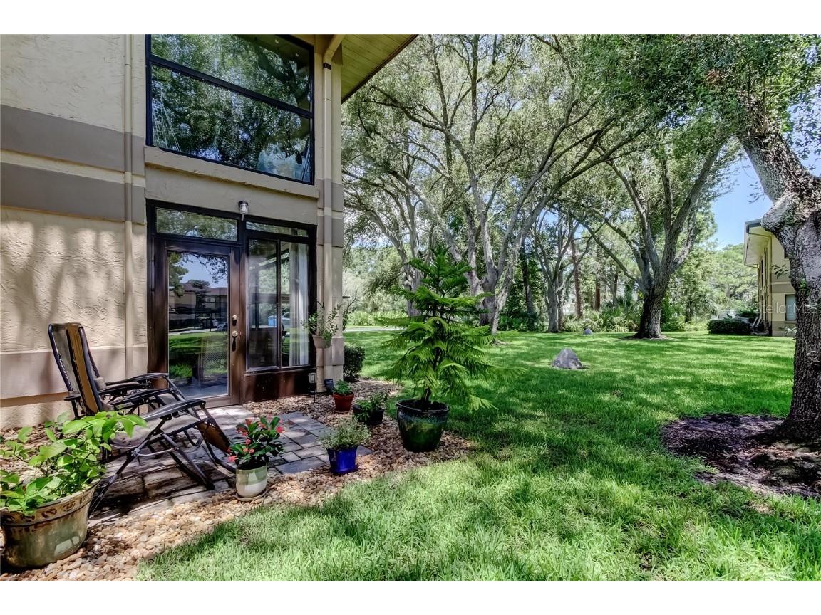 2667 Sabal Springs Circle #101 Clearwater FL 33761 TB8412503 image1