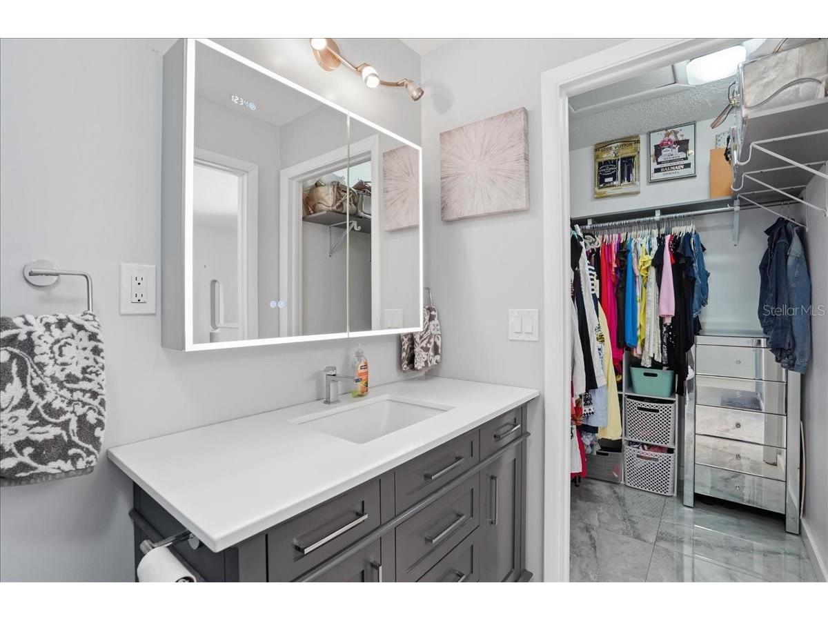 2667 Warmsprings Way Palm Harbor FL 34684 TB8500179 image29